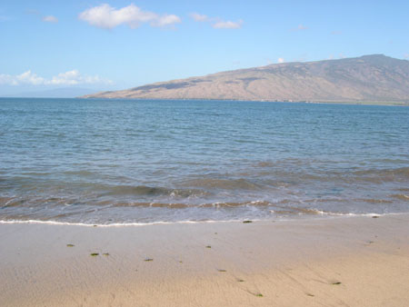 DSCN1264