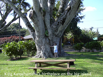birthplace
